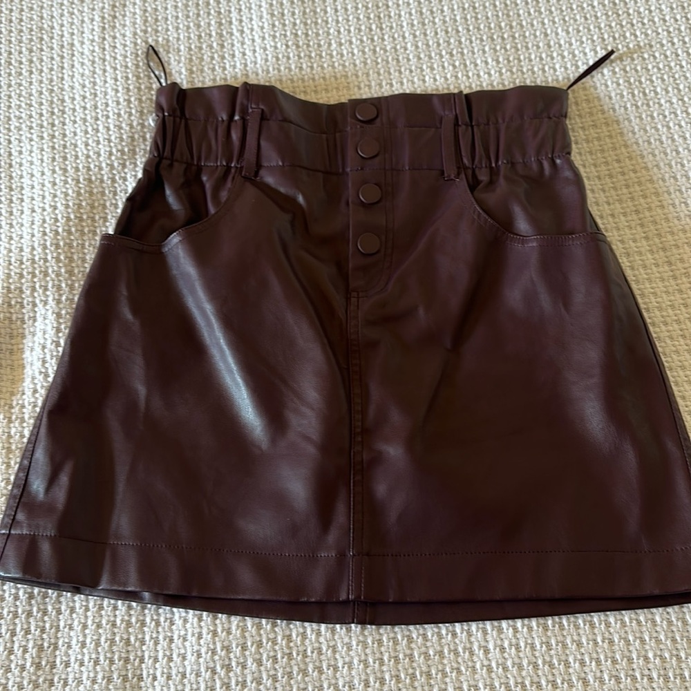 Zara Skirt